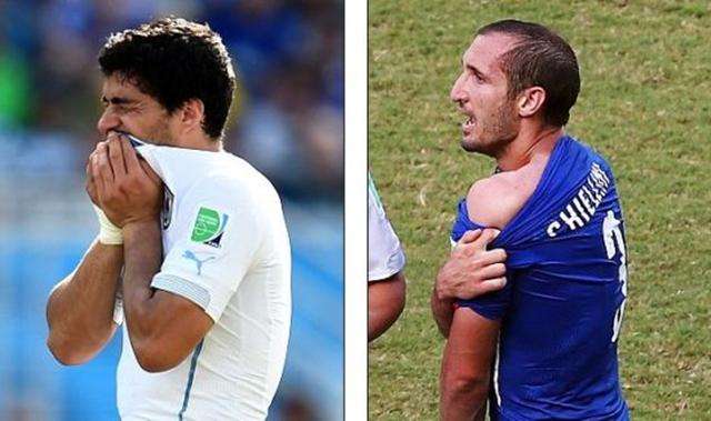 地发挥自己 地发挥自己