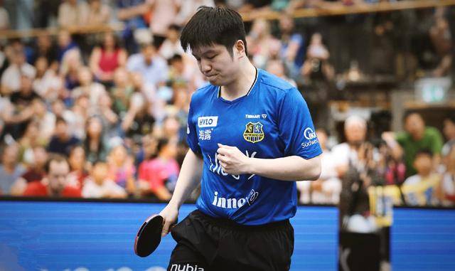 本次定档释 本次定档释