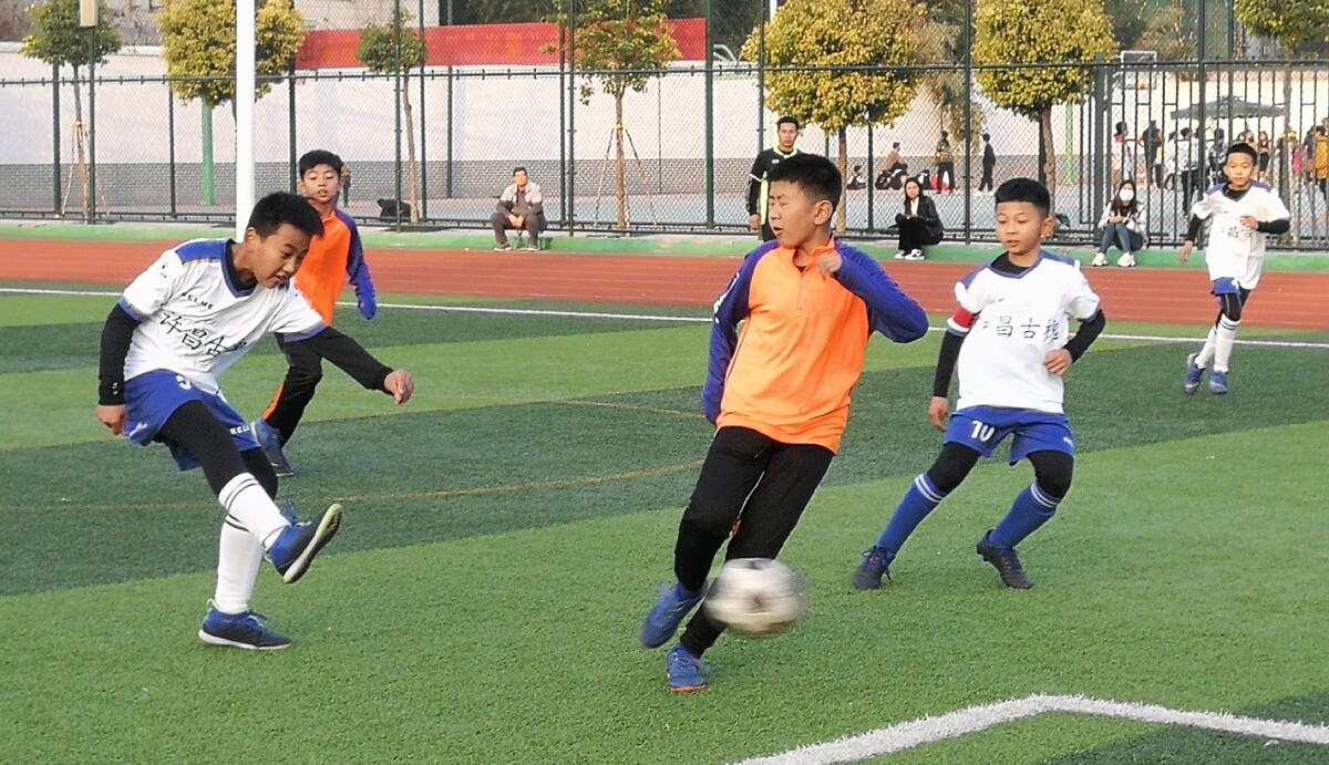 承担组织后 承担组织后