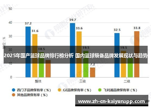 2025年国产篮球品牌排行榜分析 国内篮球装备品牌发展现状与趋势