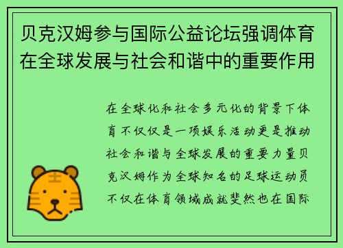 贝克汉姆参与国际公益论坛强调体育在全球发展与社会和谐中的重要作用