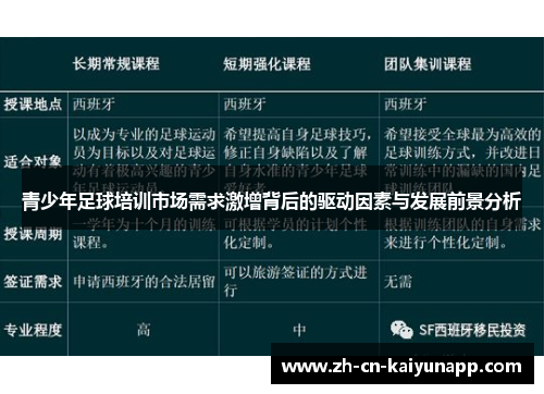 青少年足球培训市场需求激增背后的驱动因素与发展前景分析