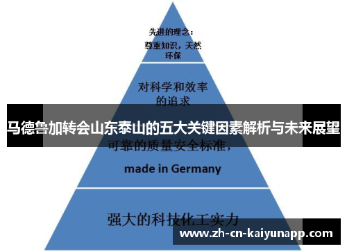 马德鲁加转会山东泰山的五大关键因素解析与未来展望