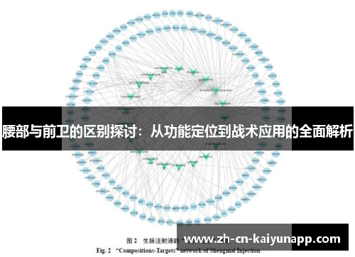 腰部与前卫的区别探讨：从功能定位到战术应用的全面解析